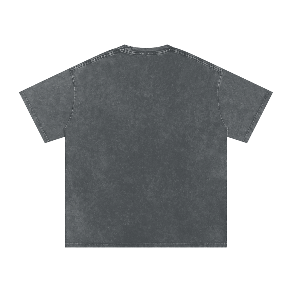 Healer Snow Washed Tee