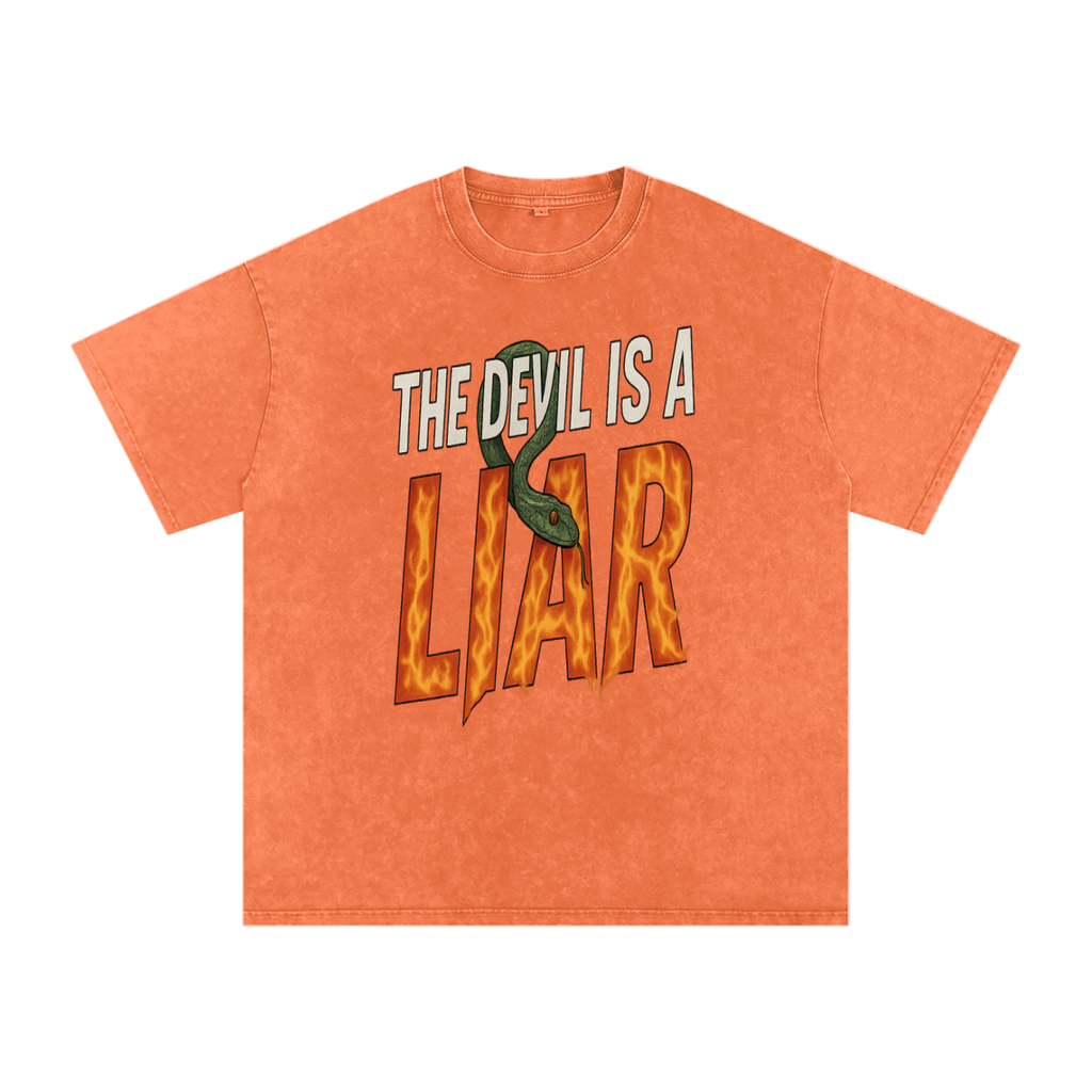 The Devil is a Liar Snow Washed Tee