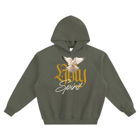 Holy Spirit Soft Boxy Hoodie - alternate view