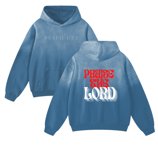 Psalm 117:1 Heavyweight Faded Hoodie - alternate view