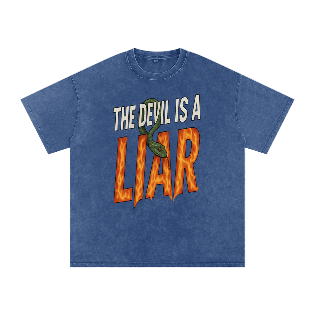 The Devil is a Liar Snow Washed Tee