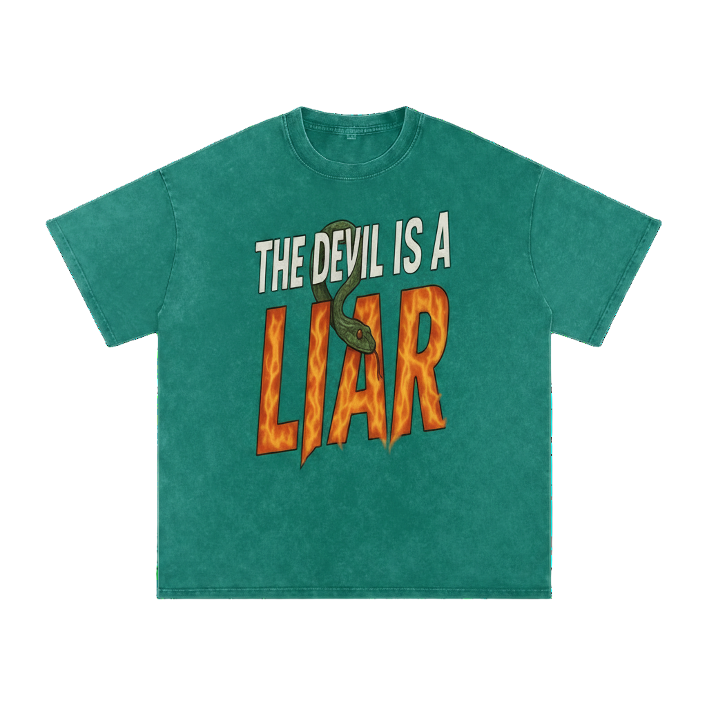 The Devil is a Liar Snow Washed Tee