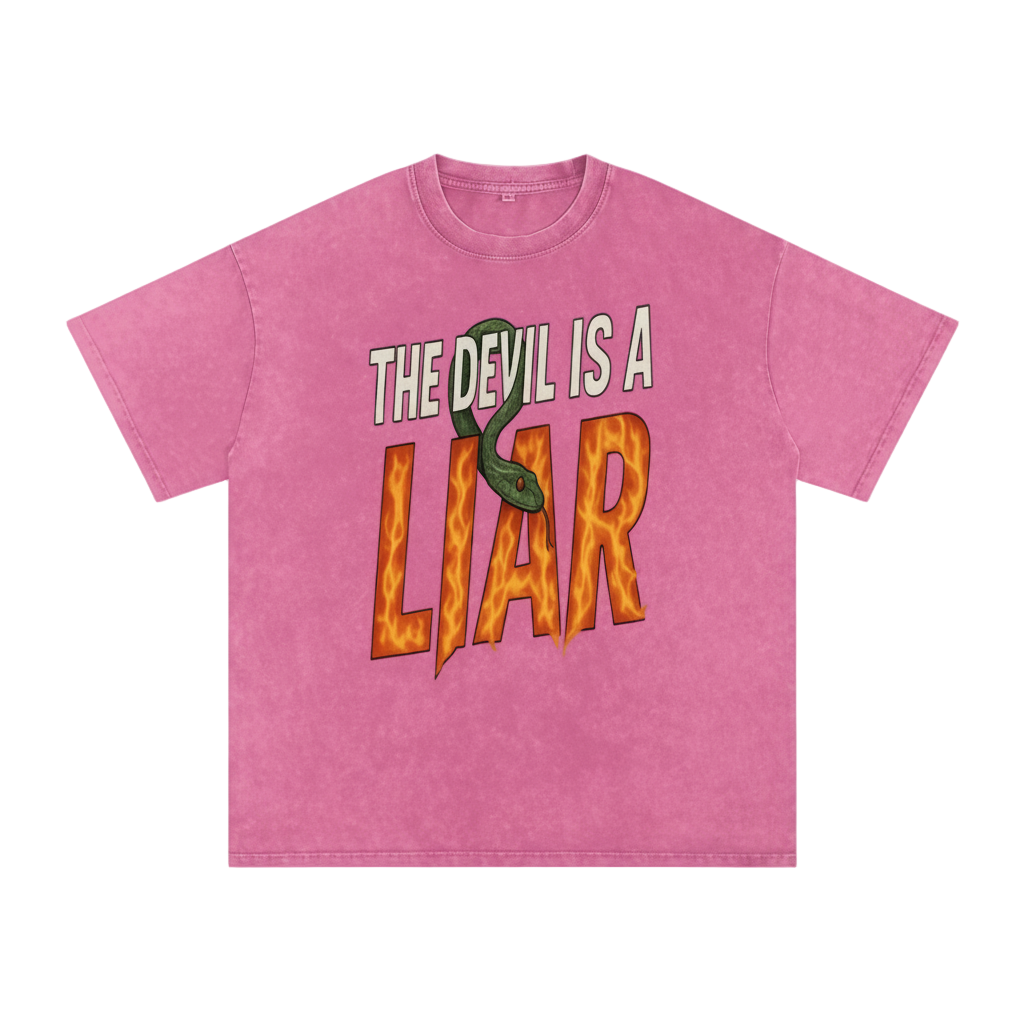 The Devil is a Liar Snow Washed Tee