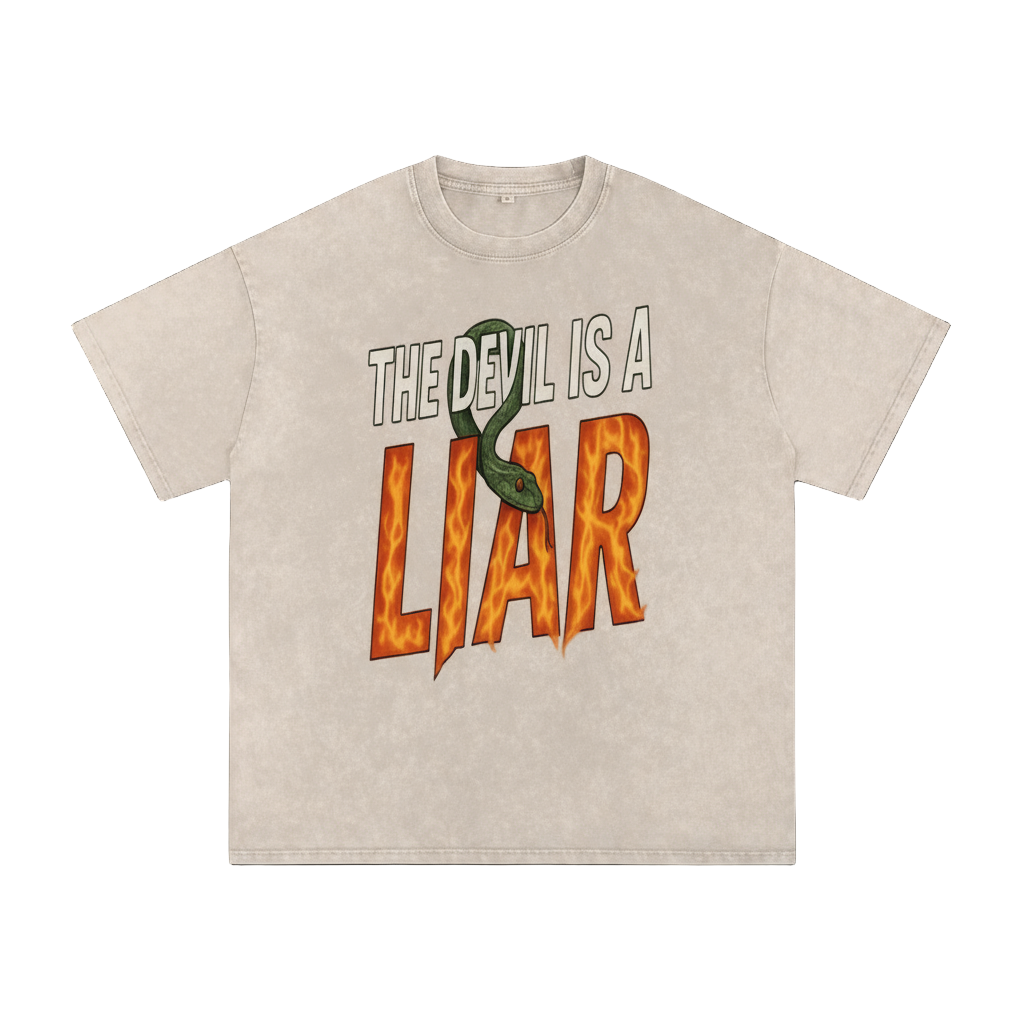 The Devil is a Liar Snow Washed Tee