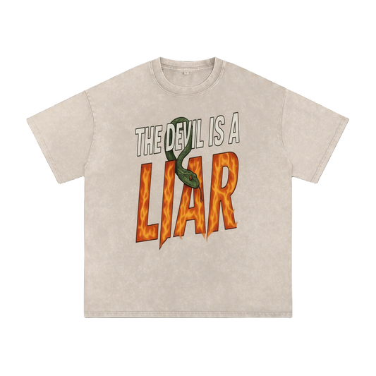 The Devil is a Liar Snow Washed Tee - alternate view