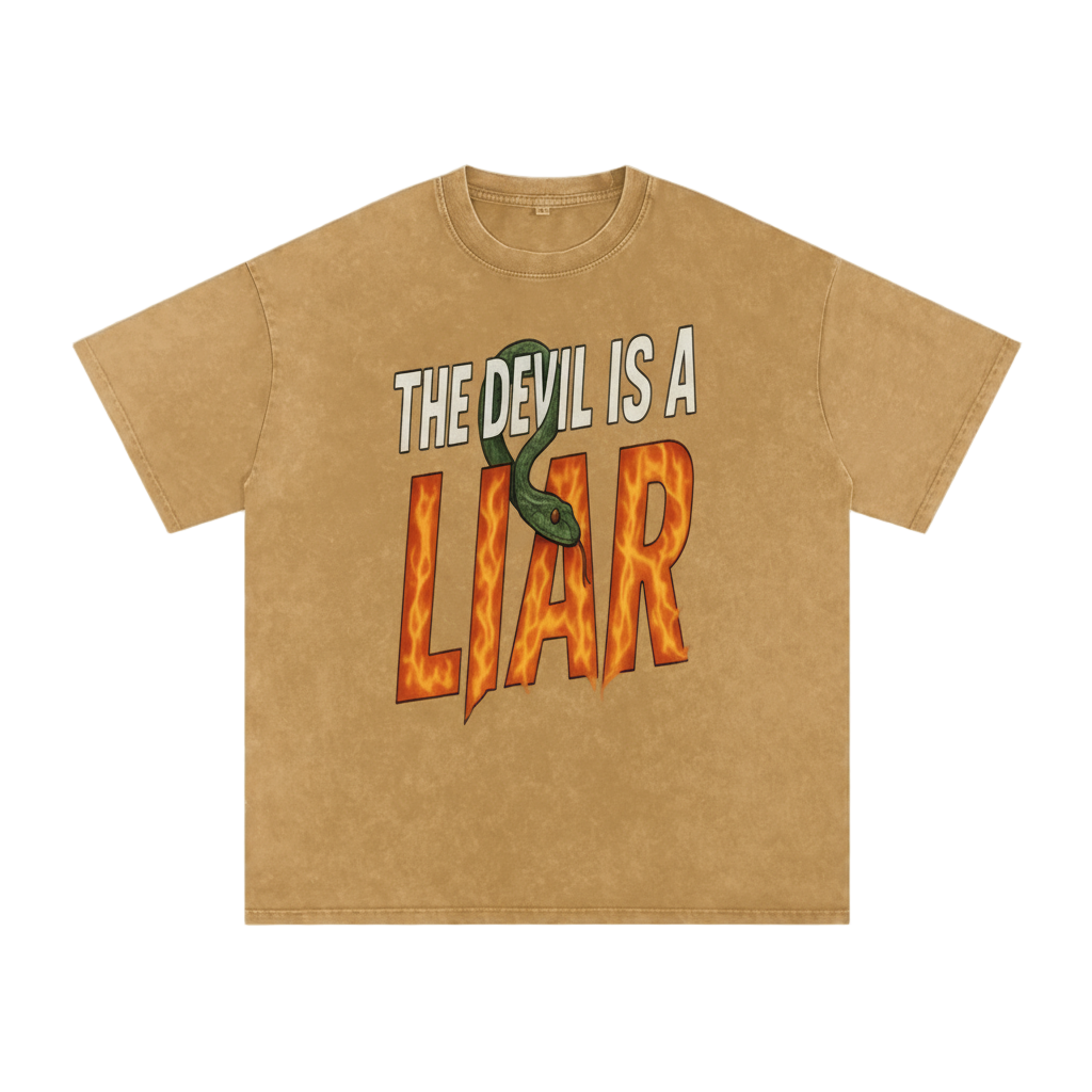 The Devil is a Liar Snow Washed Tee