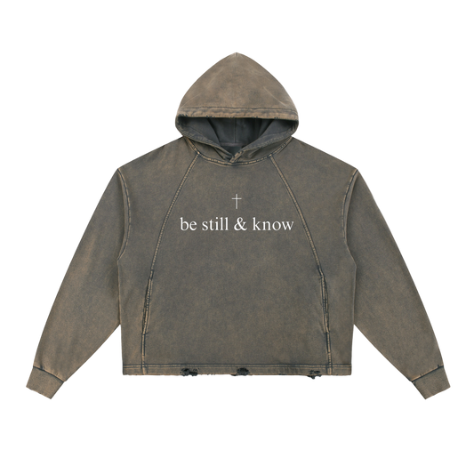 Be Still & Know Washed Semi-Cropped Frayed-Hem Hoodie
